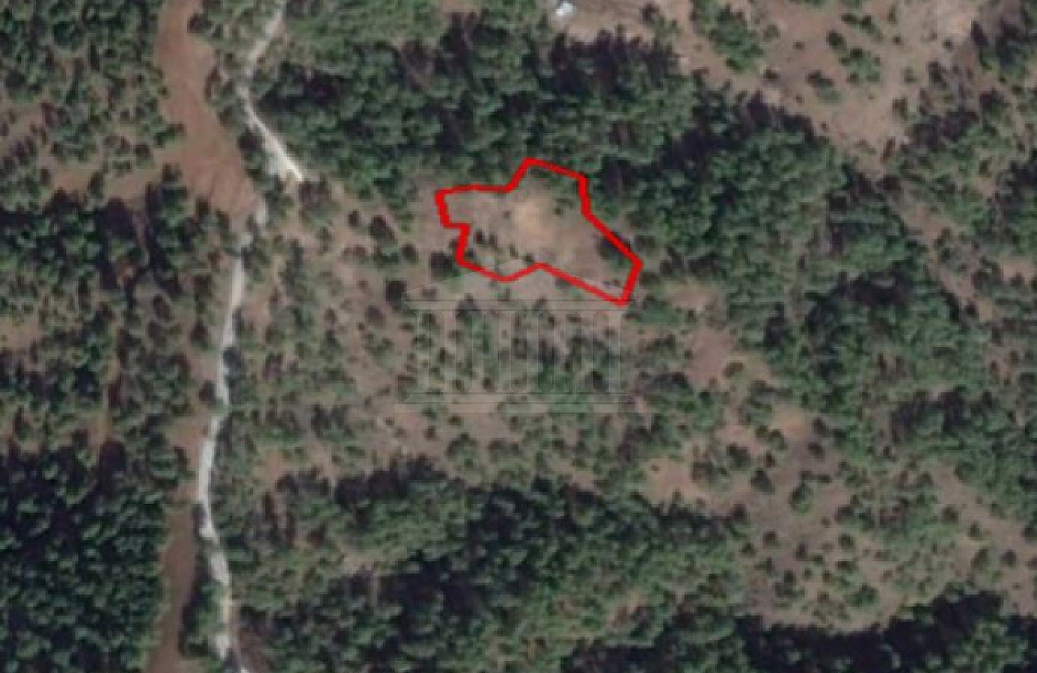 Share of Field in Pigenia, Nicosia