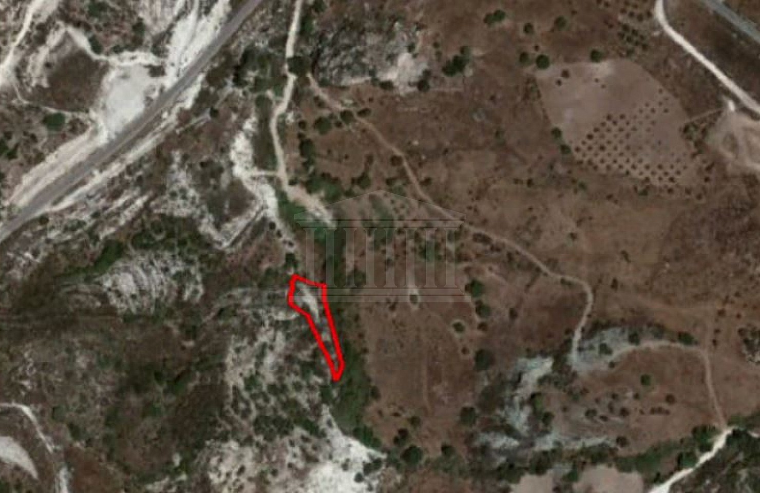 Field in Marathounta, Paphos