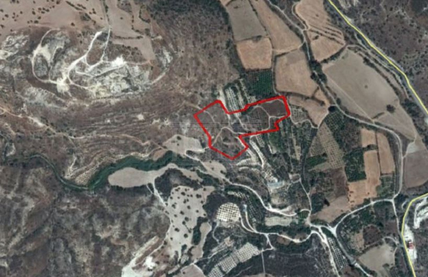 Field in Agios Theodoros, Larnaca