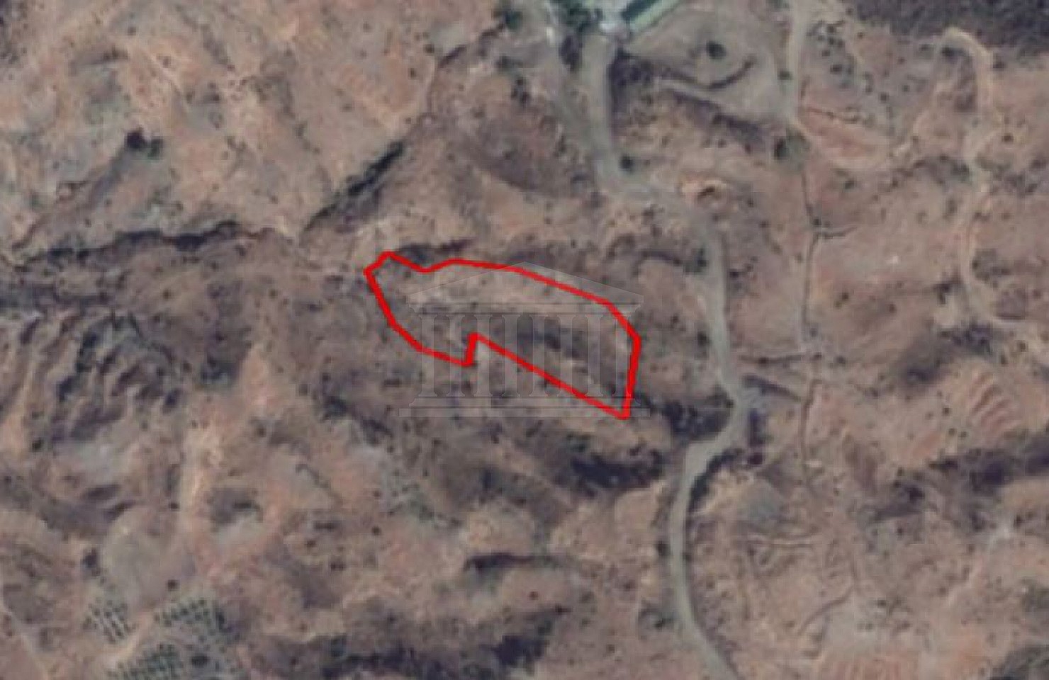 Share of Field in Kato Pyrgos, Nicosia