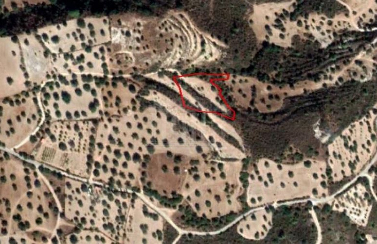 Field in Kato Lefkara, Larnaca