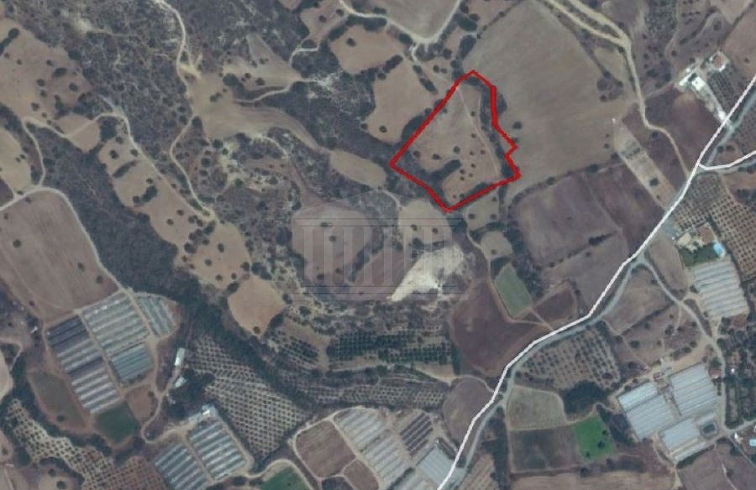 Field in Agios Theodoros, Larnaca