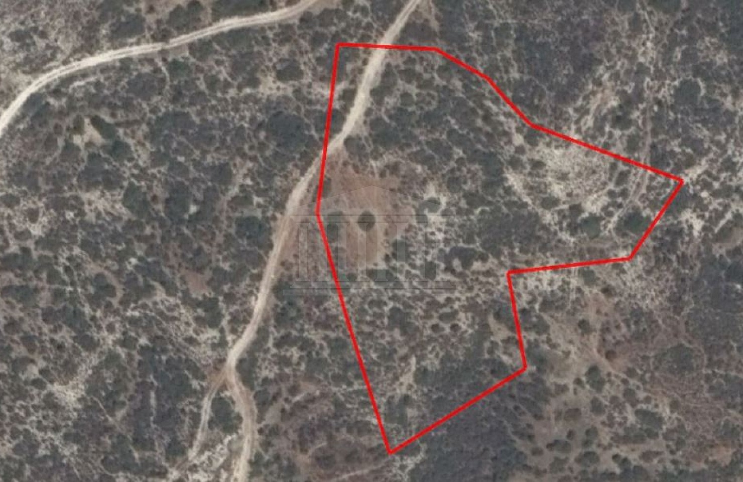 Field in Ora, Larnaca