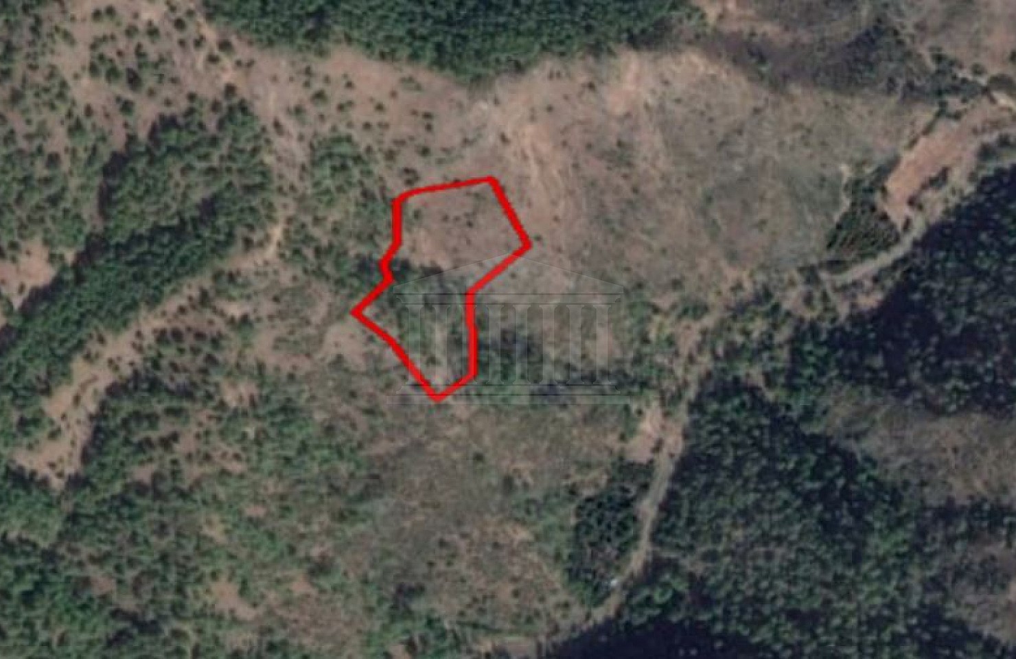 Field in Pigenia, Nicosia