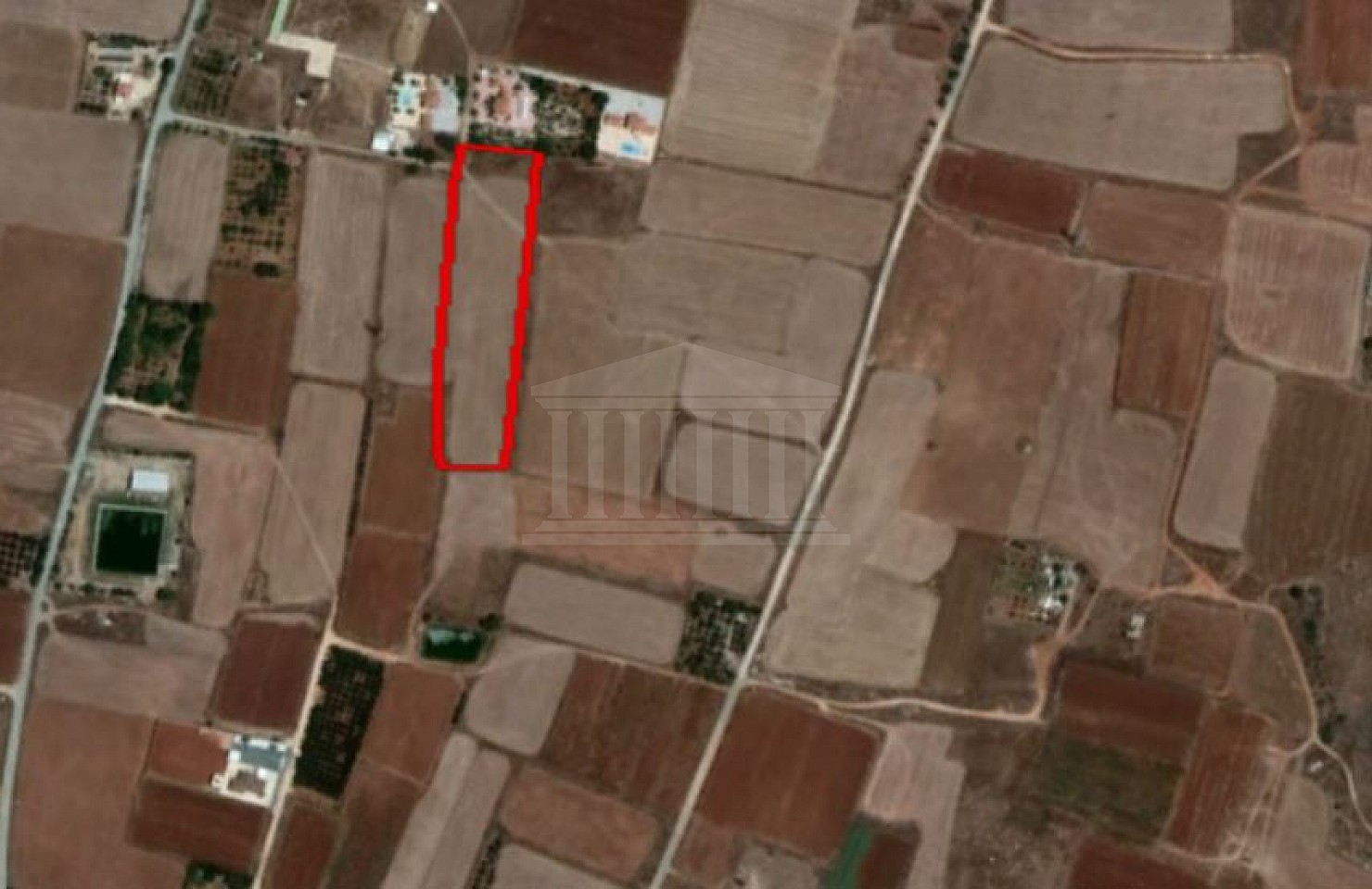 Field in Xylofagou, Larnaca