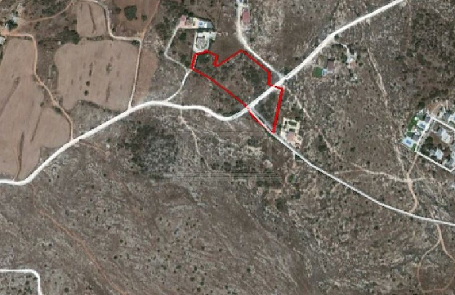 Share of Field in Paralimni, Famagusta