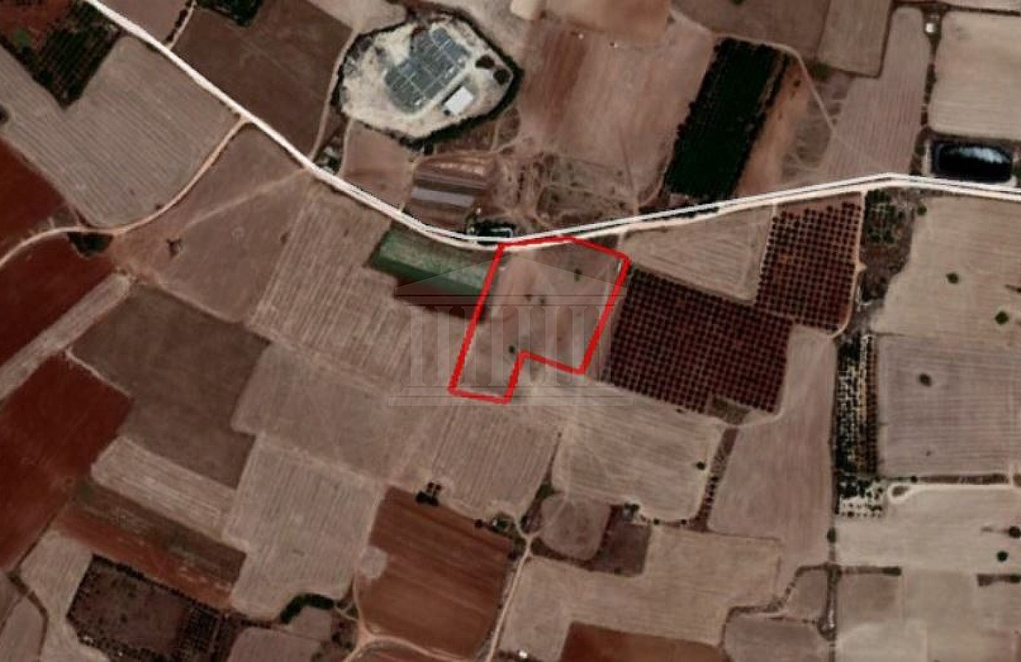Field in Frenaros, Famagusta