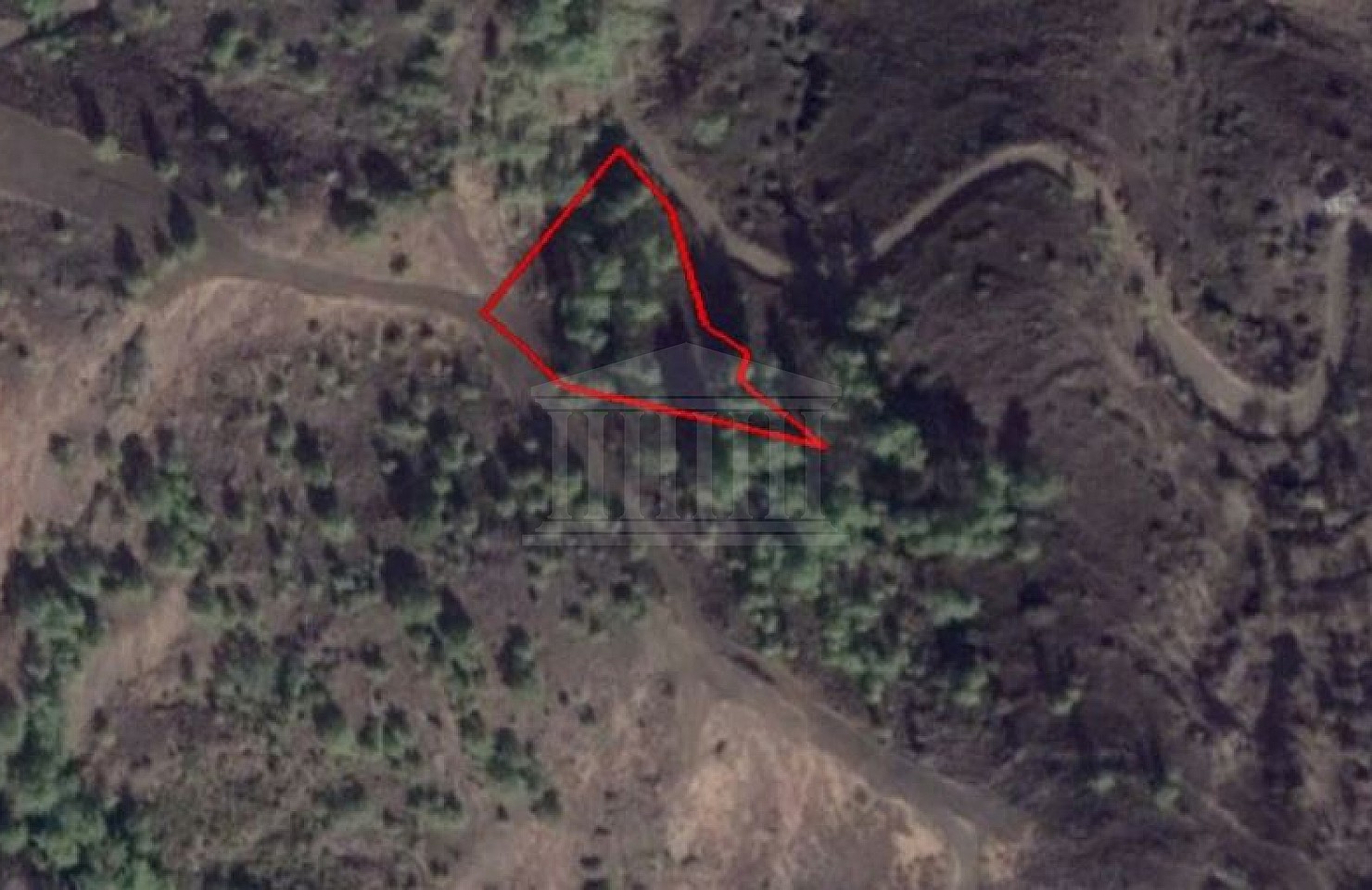 Field in Pigenia, Nicosia