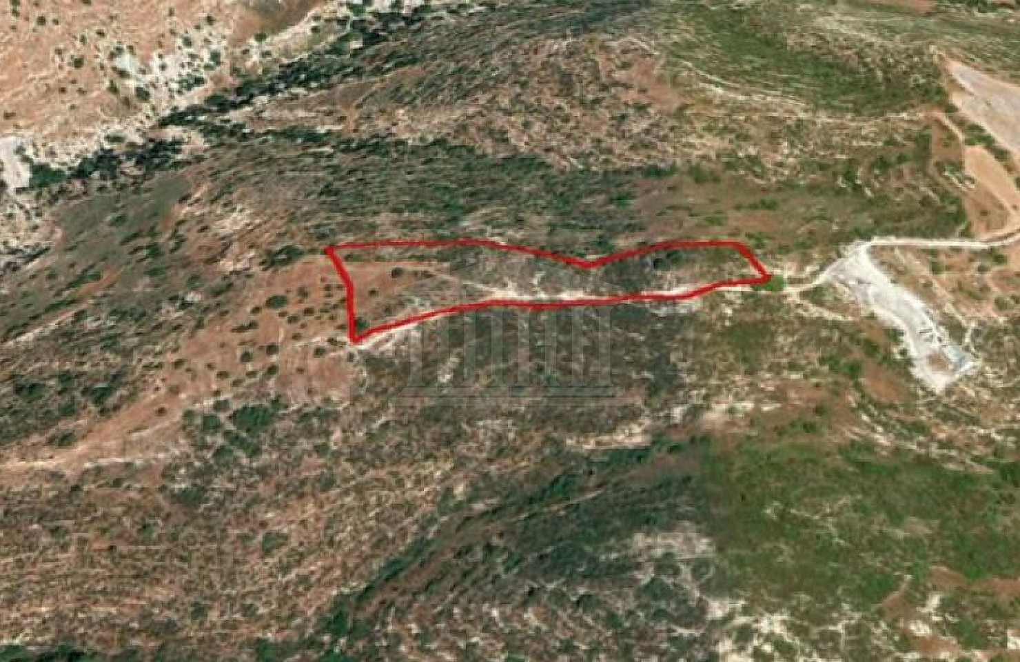 Field in Pegeia, Paphos