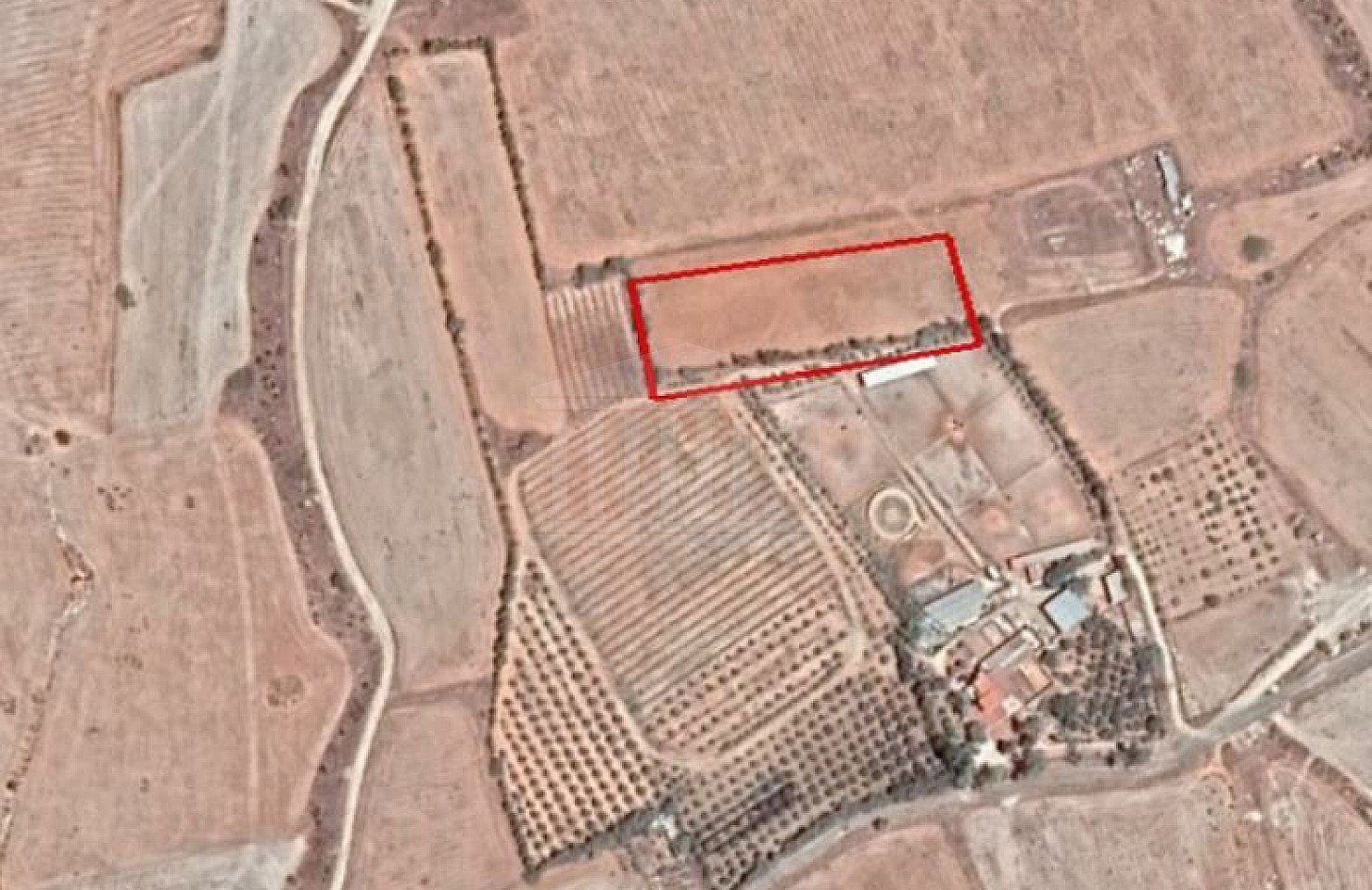 Field in Tersefanou, Larnaca