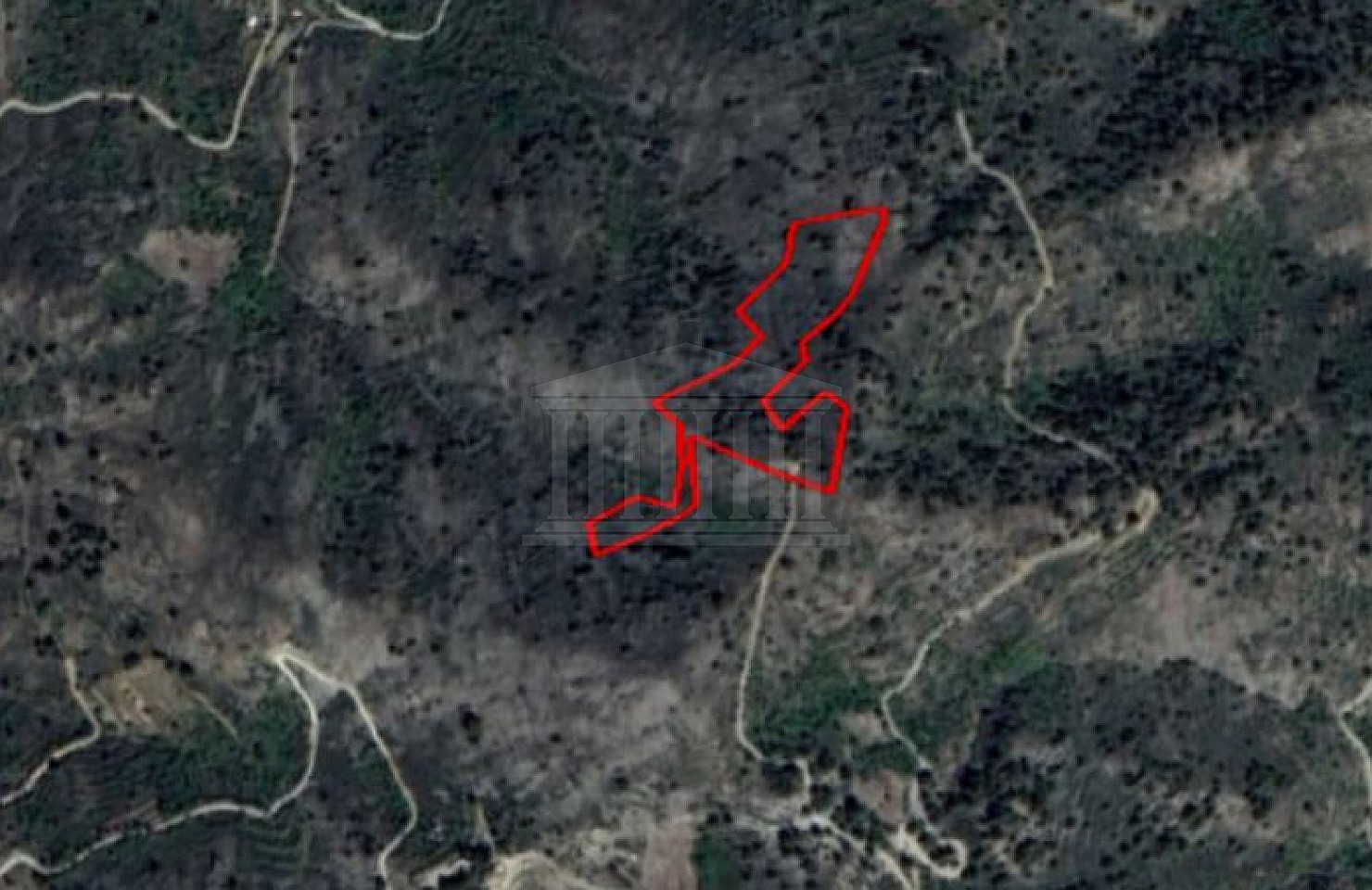 Share of Field in Platanistasa, Nicosia