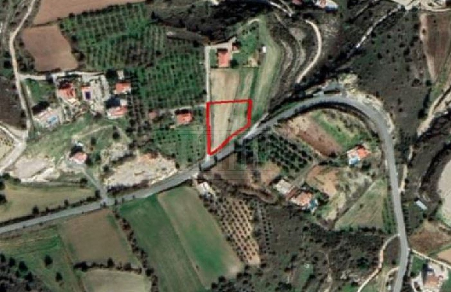 Field in Armou, Paphos