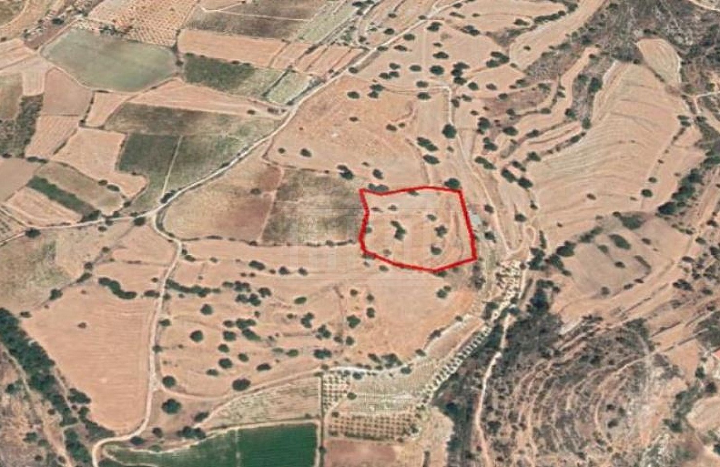 Share of Field in Pachna, Limassol