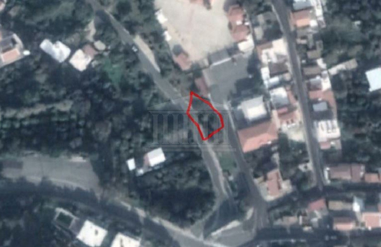Field in Pachyammos, Nicosia