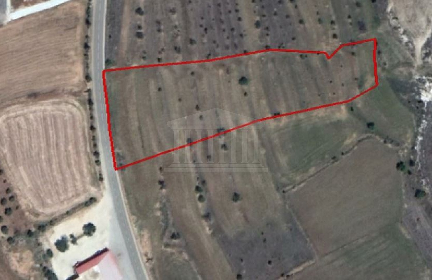 Field in Vyzakia, Nicosia