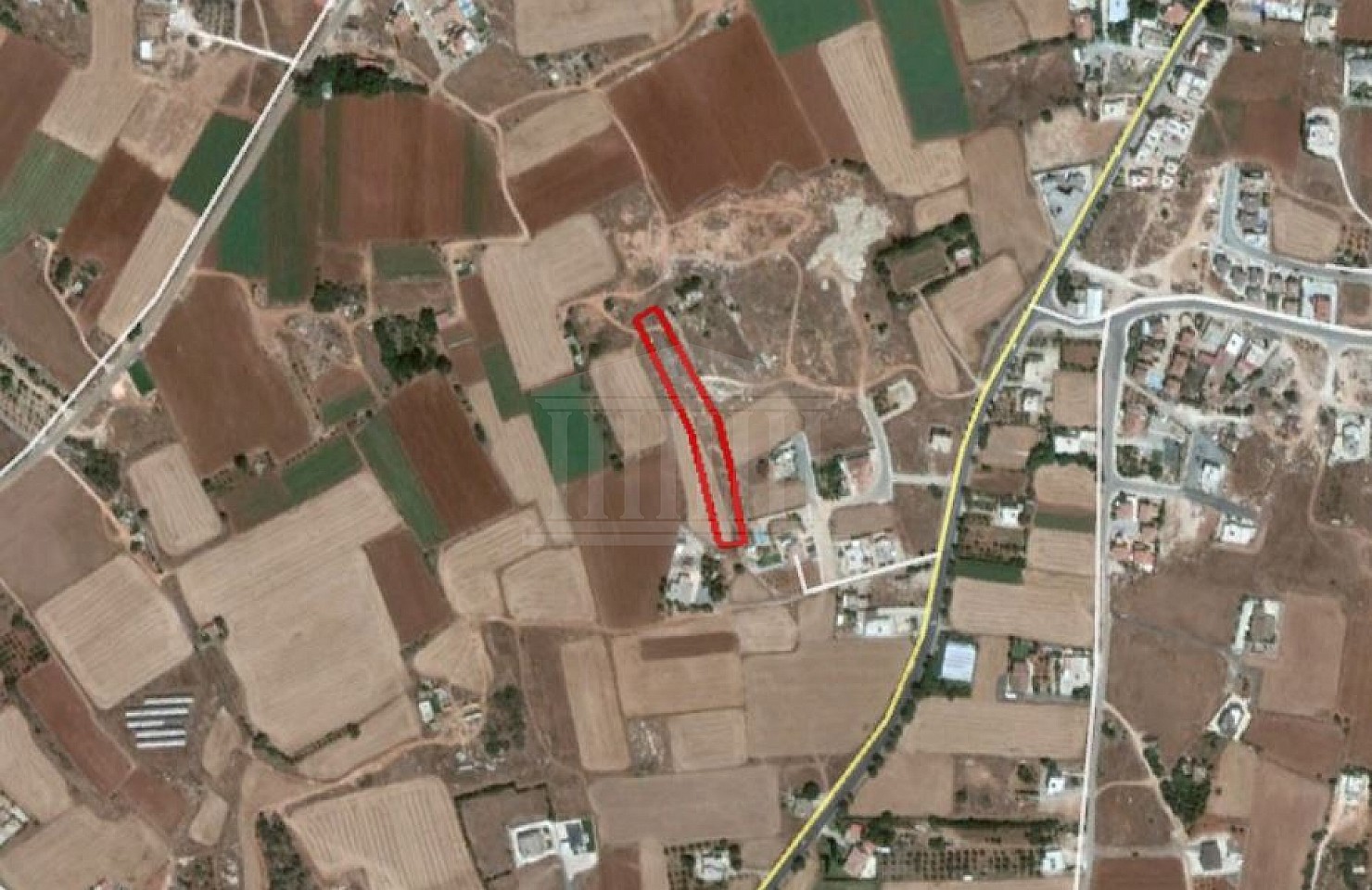 Field in Sotira, Famagusta