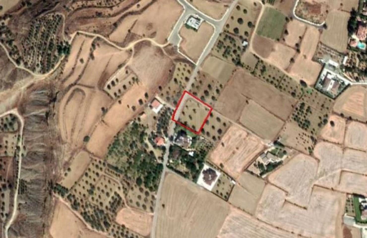 Field in Pera, Nicosia