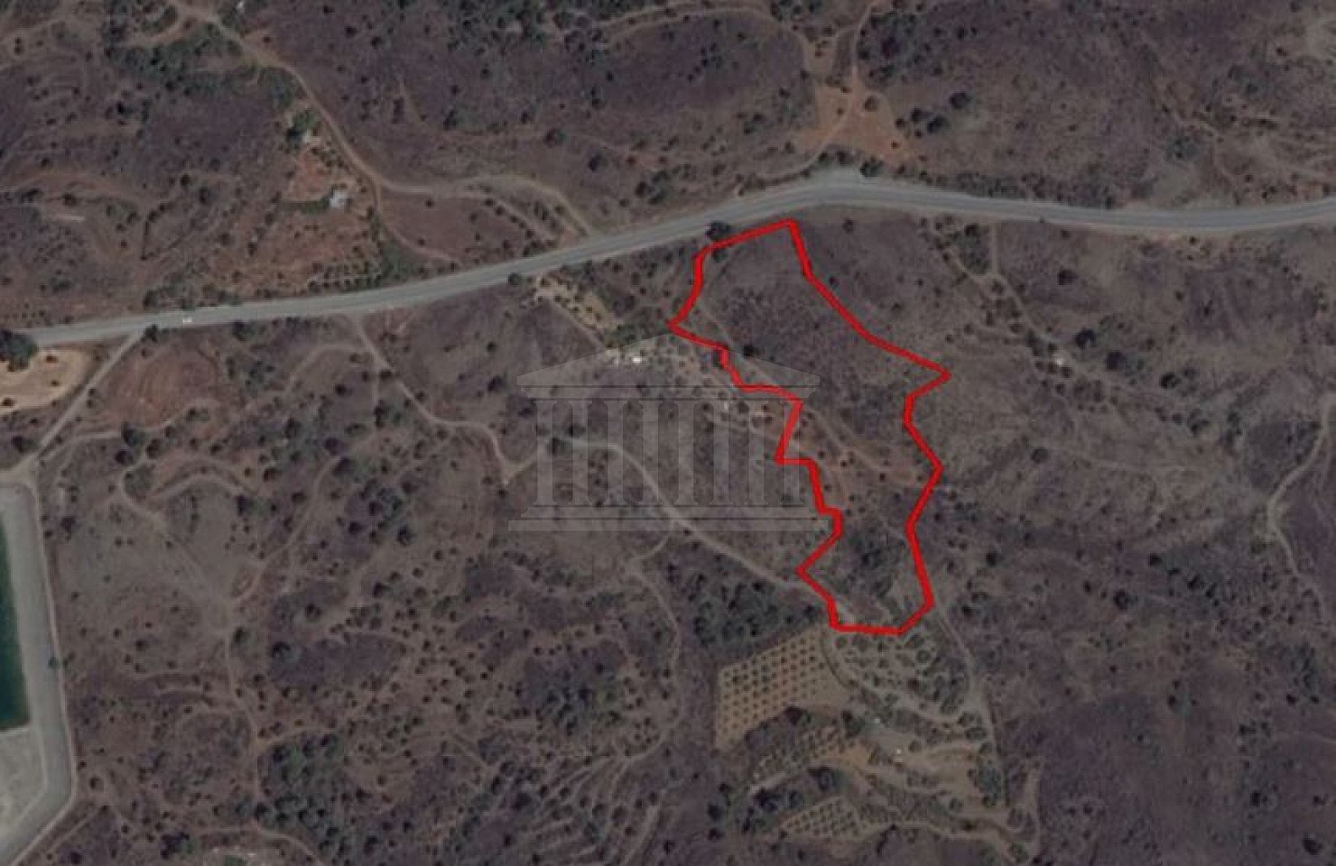 Share of Field in Eptagoneia, Limassol