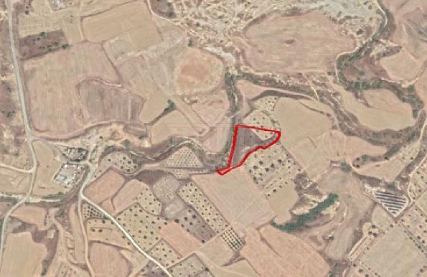 Field in Tseri, Nicosia