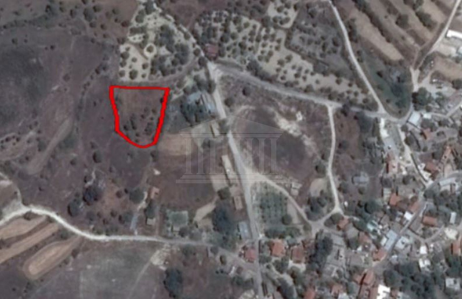 Field in Choulou, Paphos