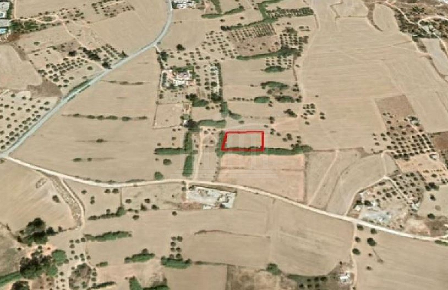 Field in Oroklini, Larnaka