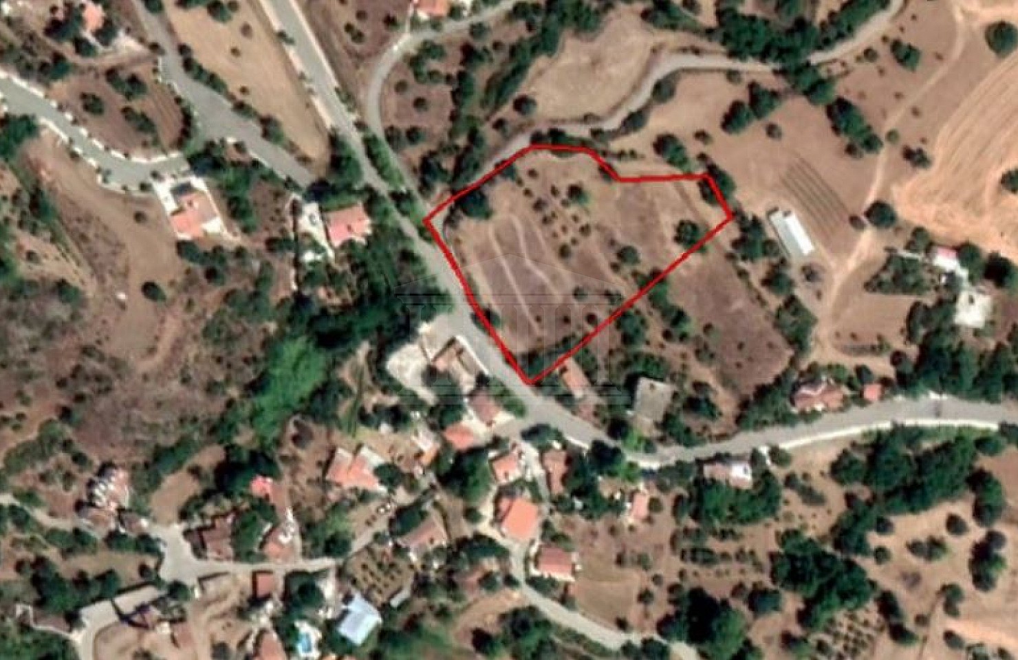 Share of Field in Lageia, Larnaca