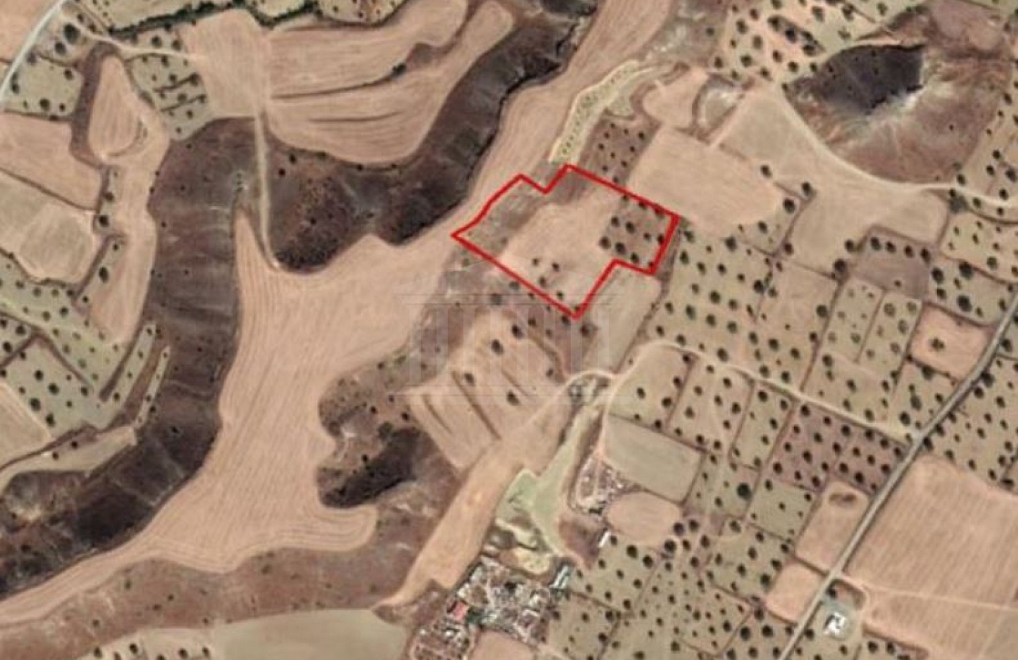 Field in Tseri, Nicosia