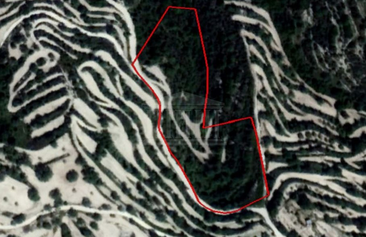 Field in Koili, Paphos