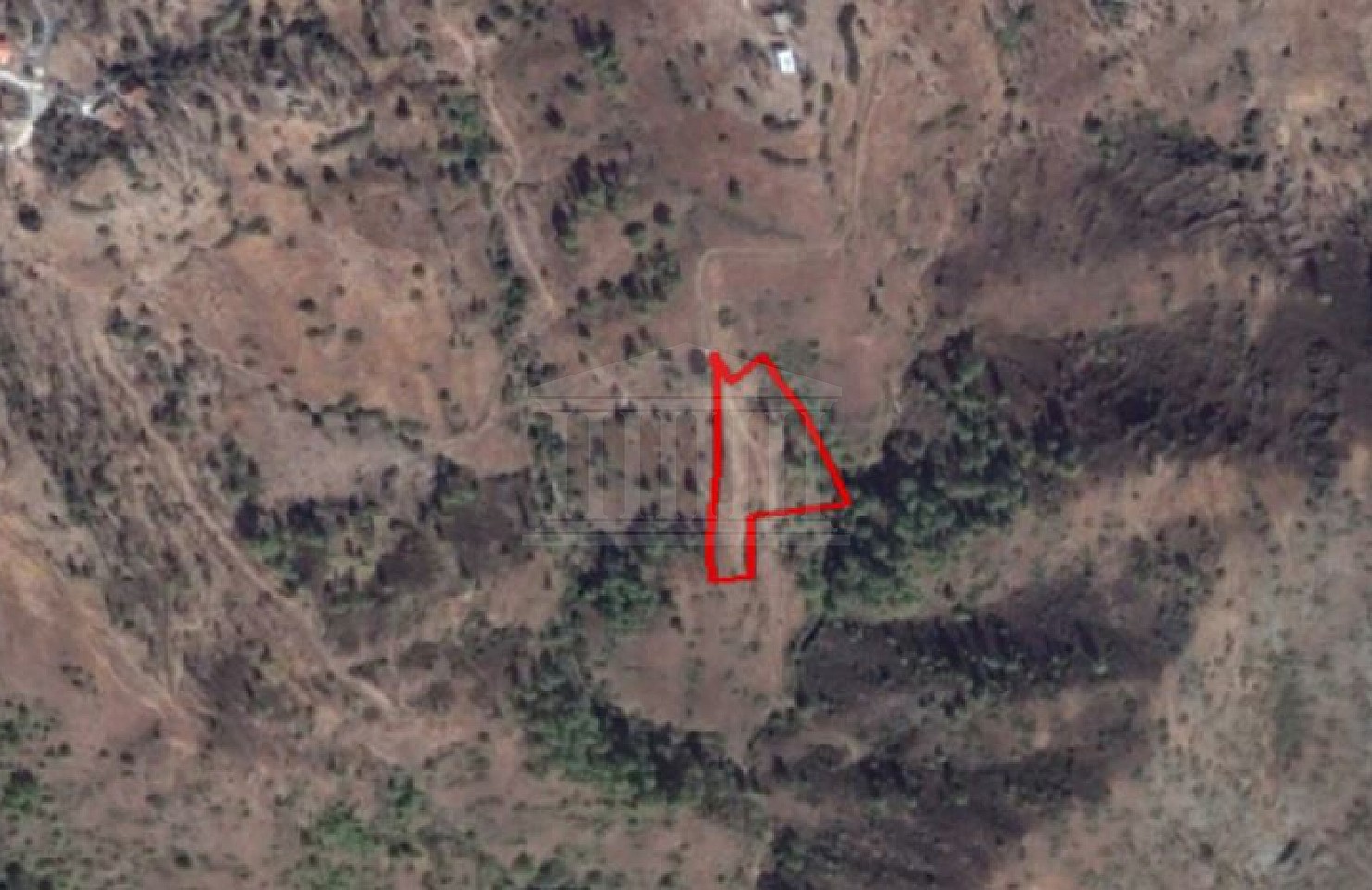 Share of a Field in Pigenia, Nicosia