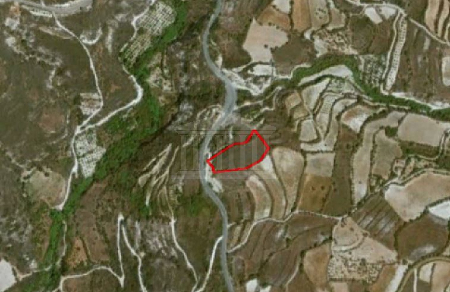 Field in Filousa, Paphos