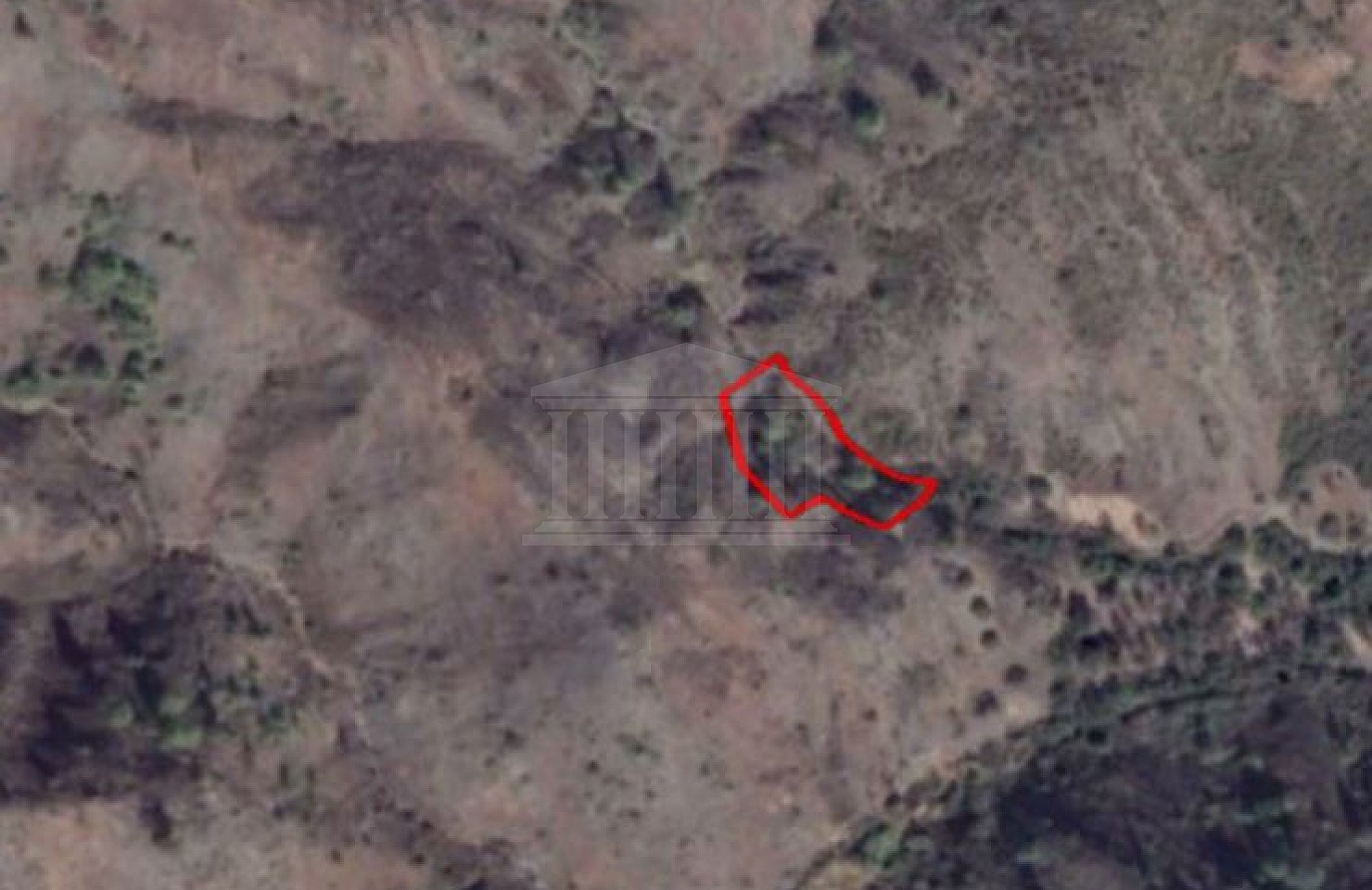 Share of a Field in Pigenia, Nicosia