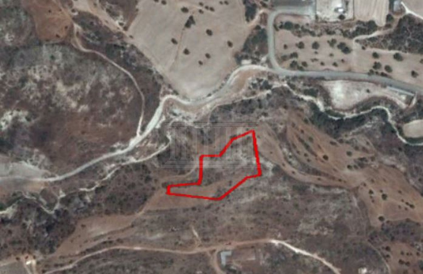 Field in Agios Theodoros, Larnaca