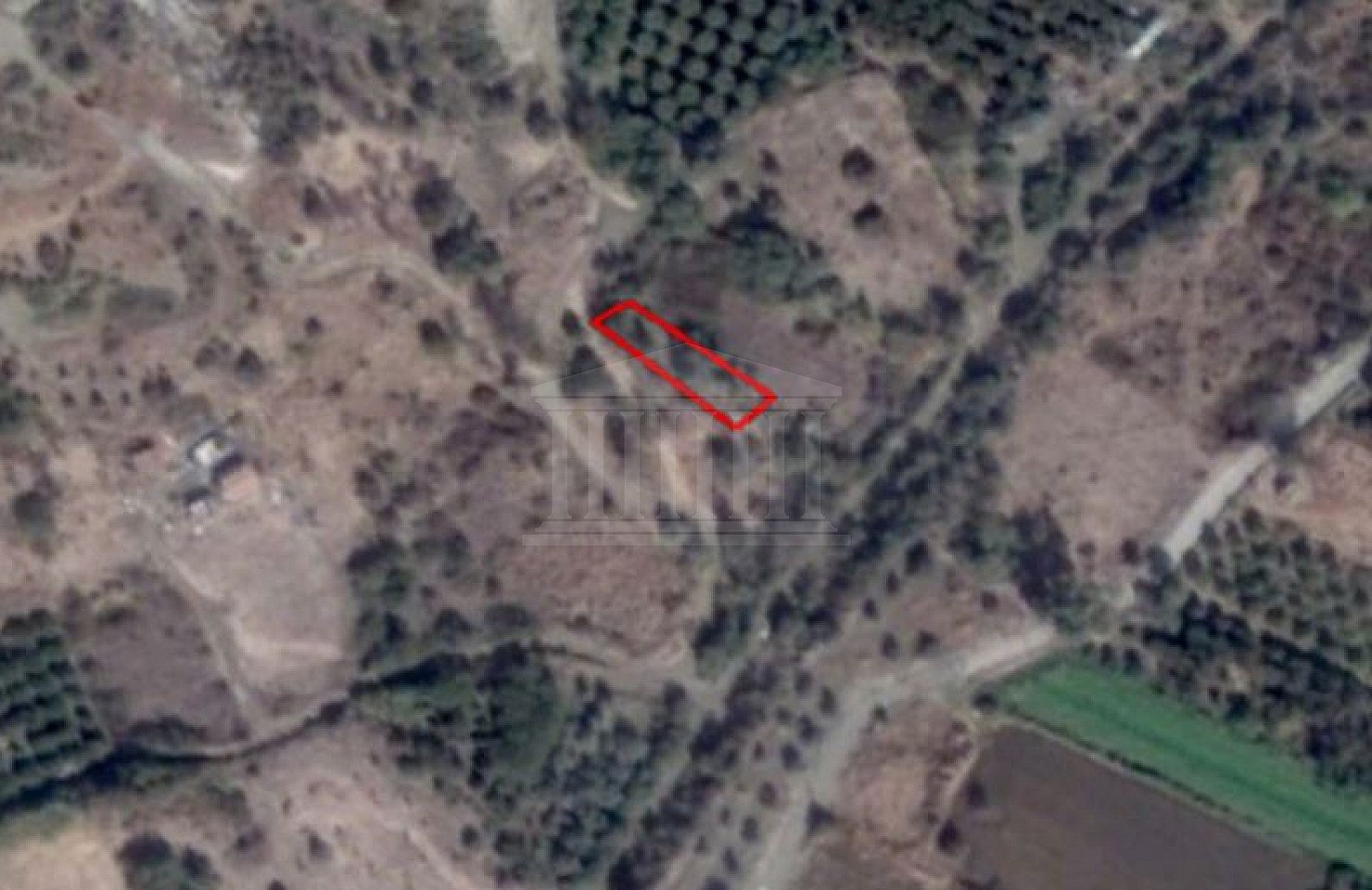Share of Field in Kato Pyrgos, Nicosia