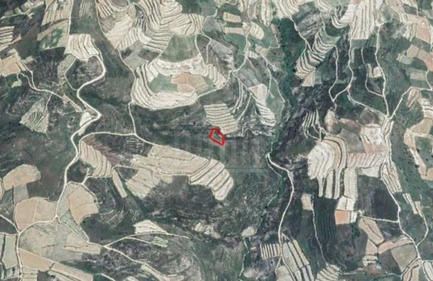Field in Vasa Koilaniou, Limassol
