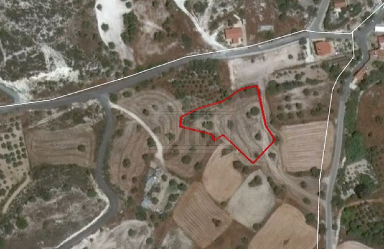 Field in Skarinou, Larnaca