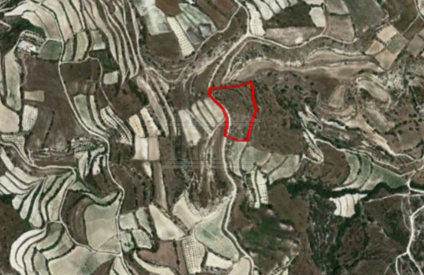 Field in Letymvou, Paphos