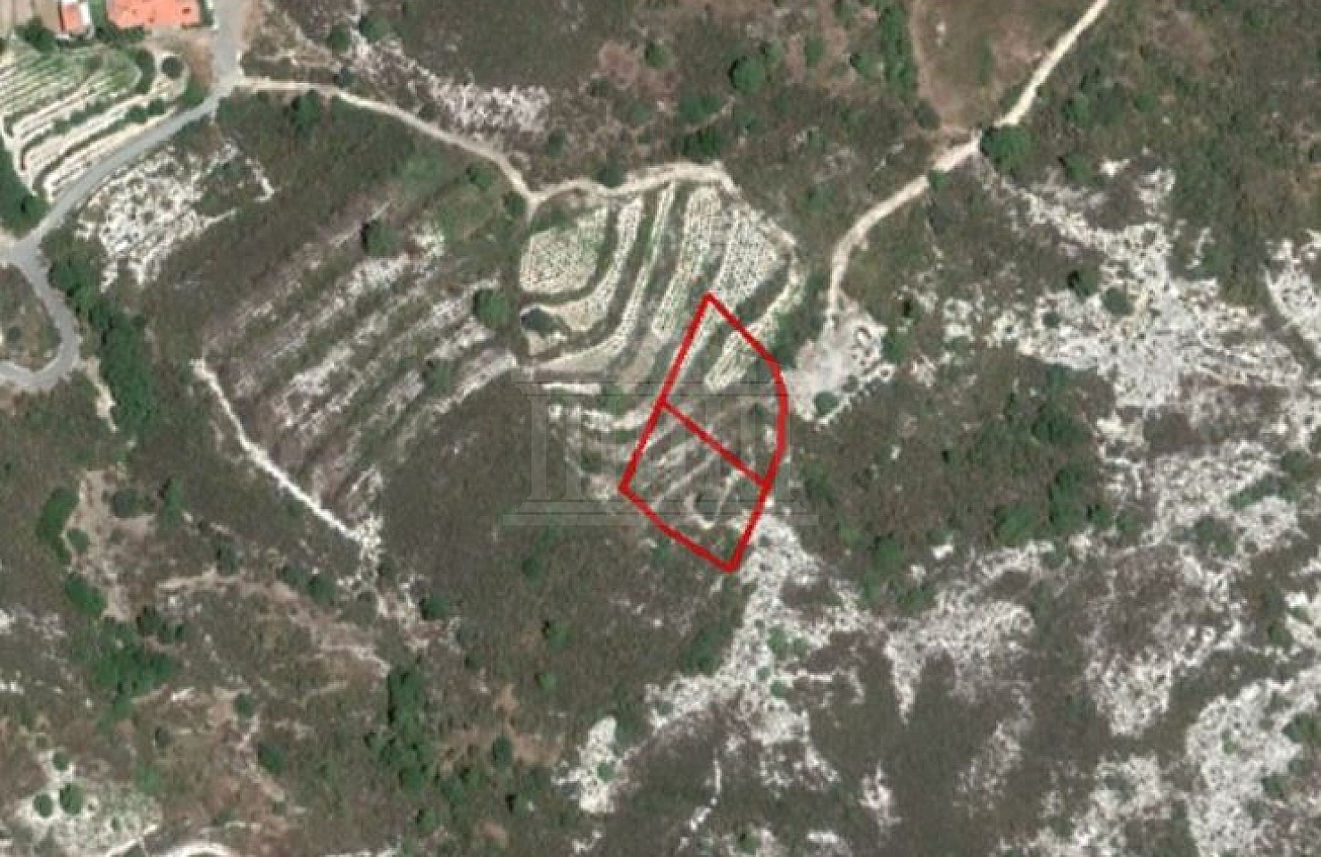 Two Fields in Trimiklini, Limassol