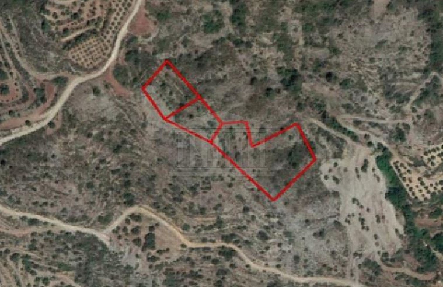 Three Fields in Agioi Vavatsinias, Larnaca
