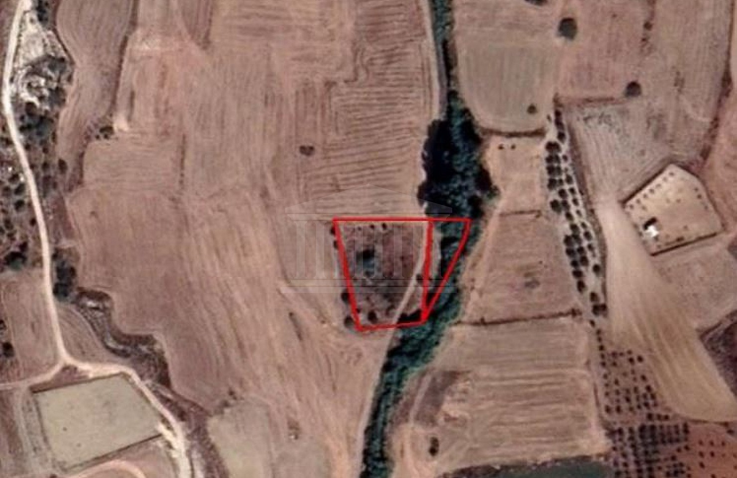 Two Fields in Palaiometocho, Nicosia