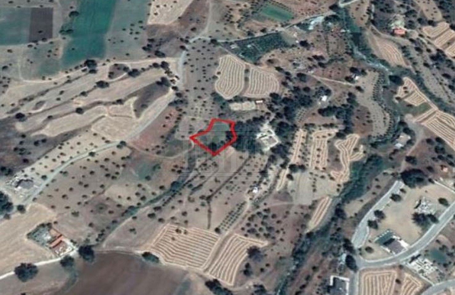 Field in Lythrodontas, Nicosia