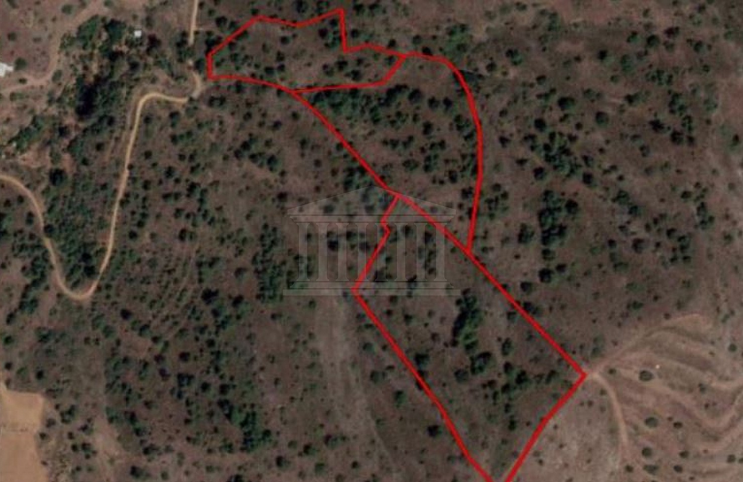 Three Fields in Farmakas, Nicosia