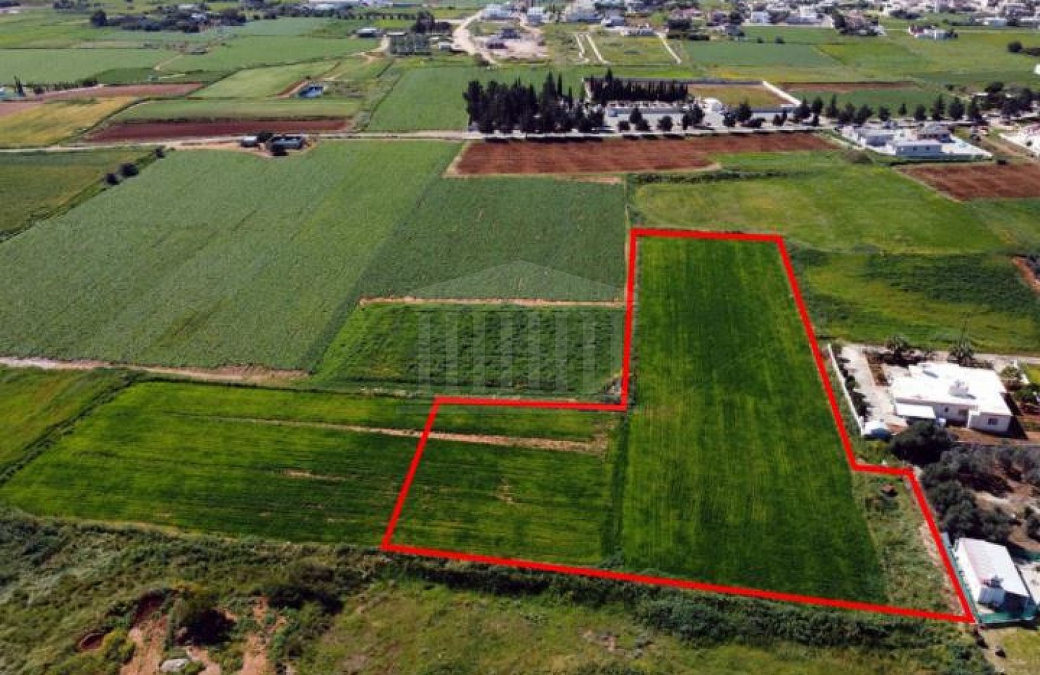 Field in Frenaros, Ammochostos