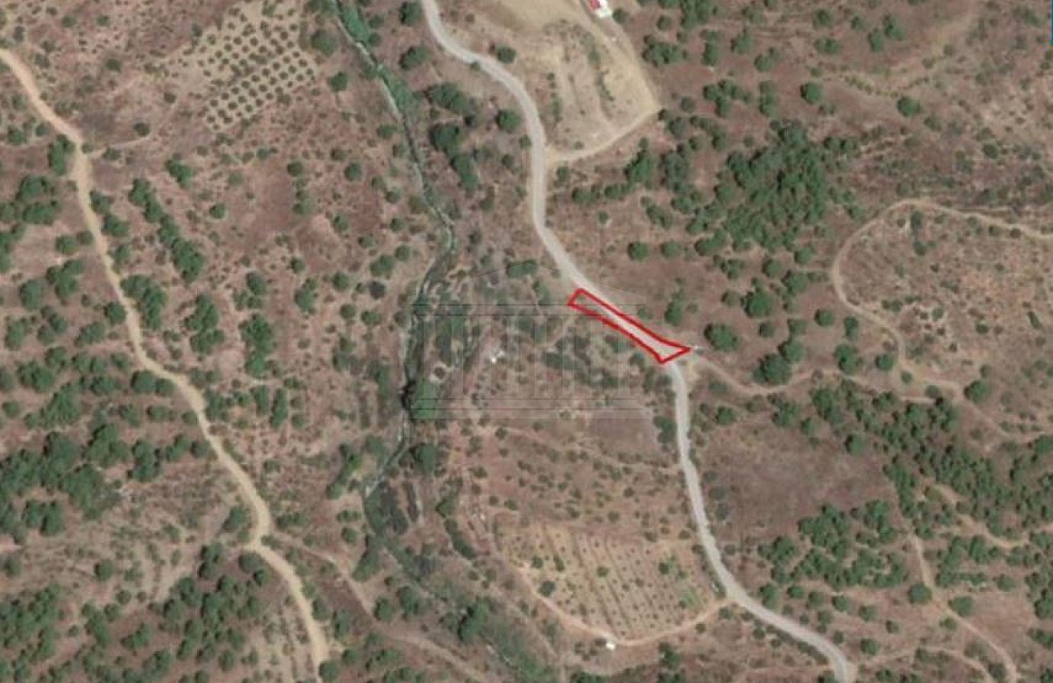 Share of Field in Agios Theodoros (Soleas), Nicosia