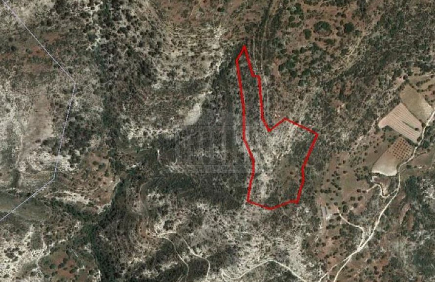 Share of Field in Dora, Limassol