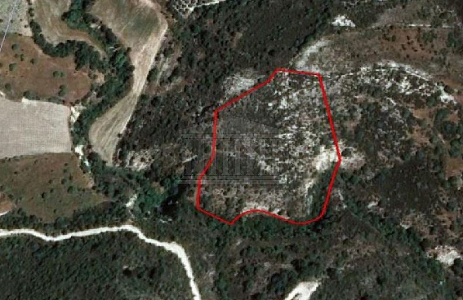 Share of Field in Dora, Limassol