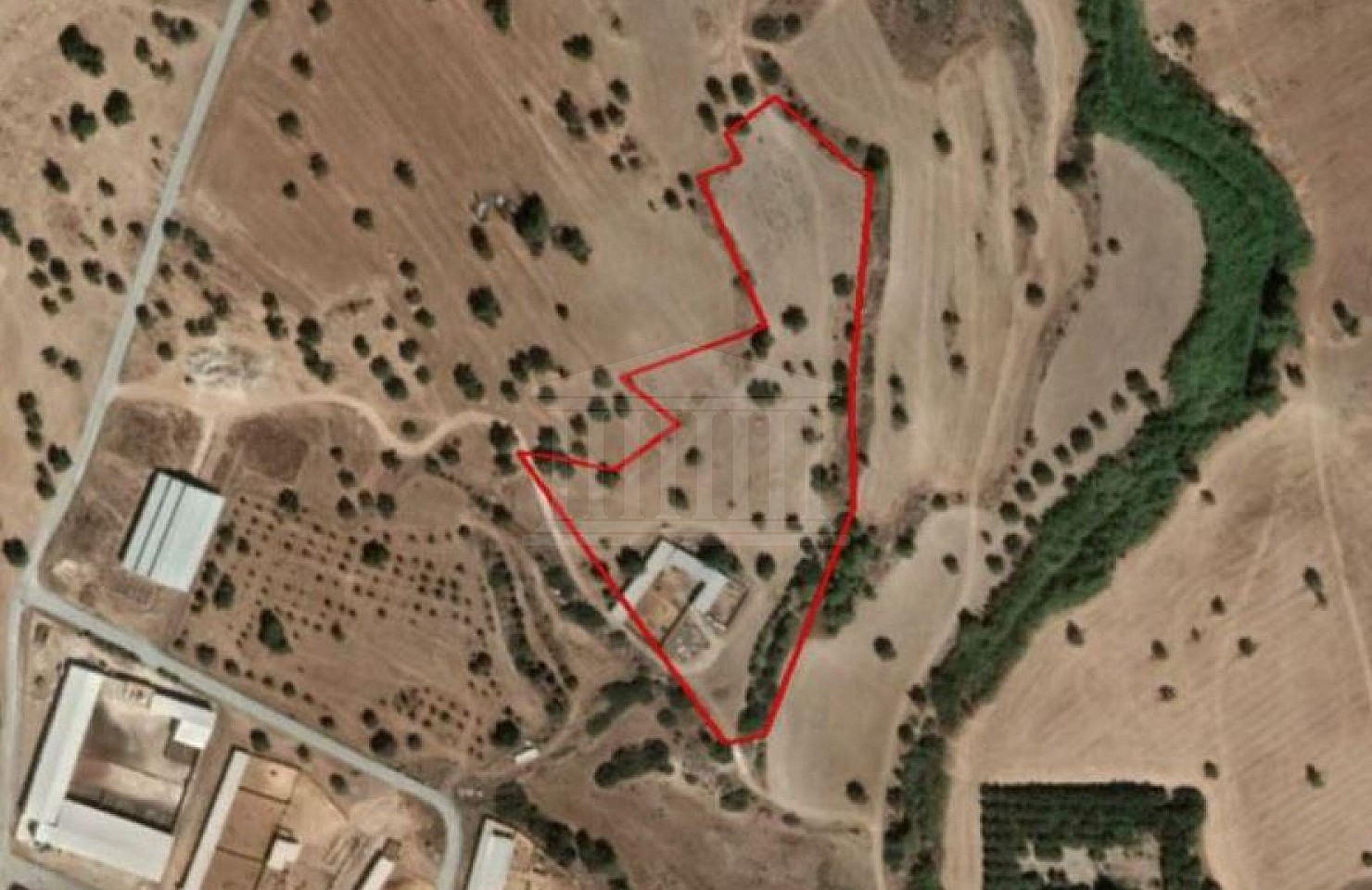 Share of Field in Mazotos, Larnaca