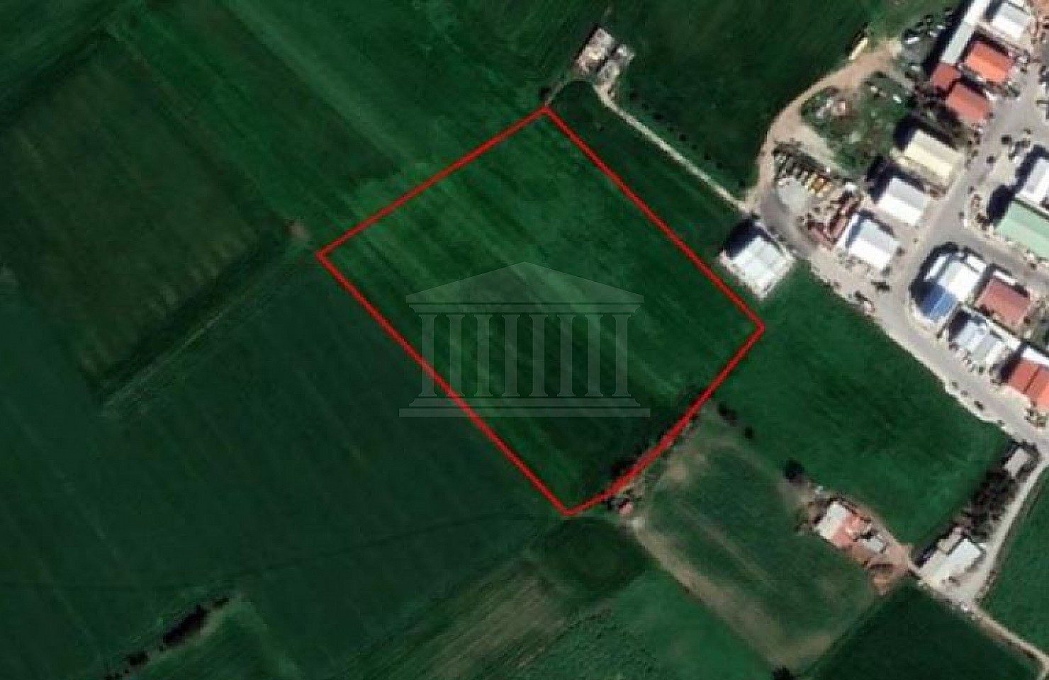 Field in Kiti, Larnaca