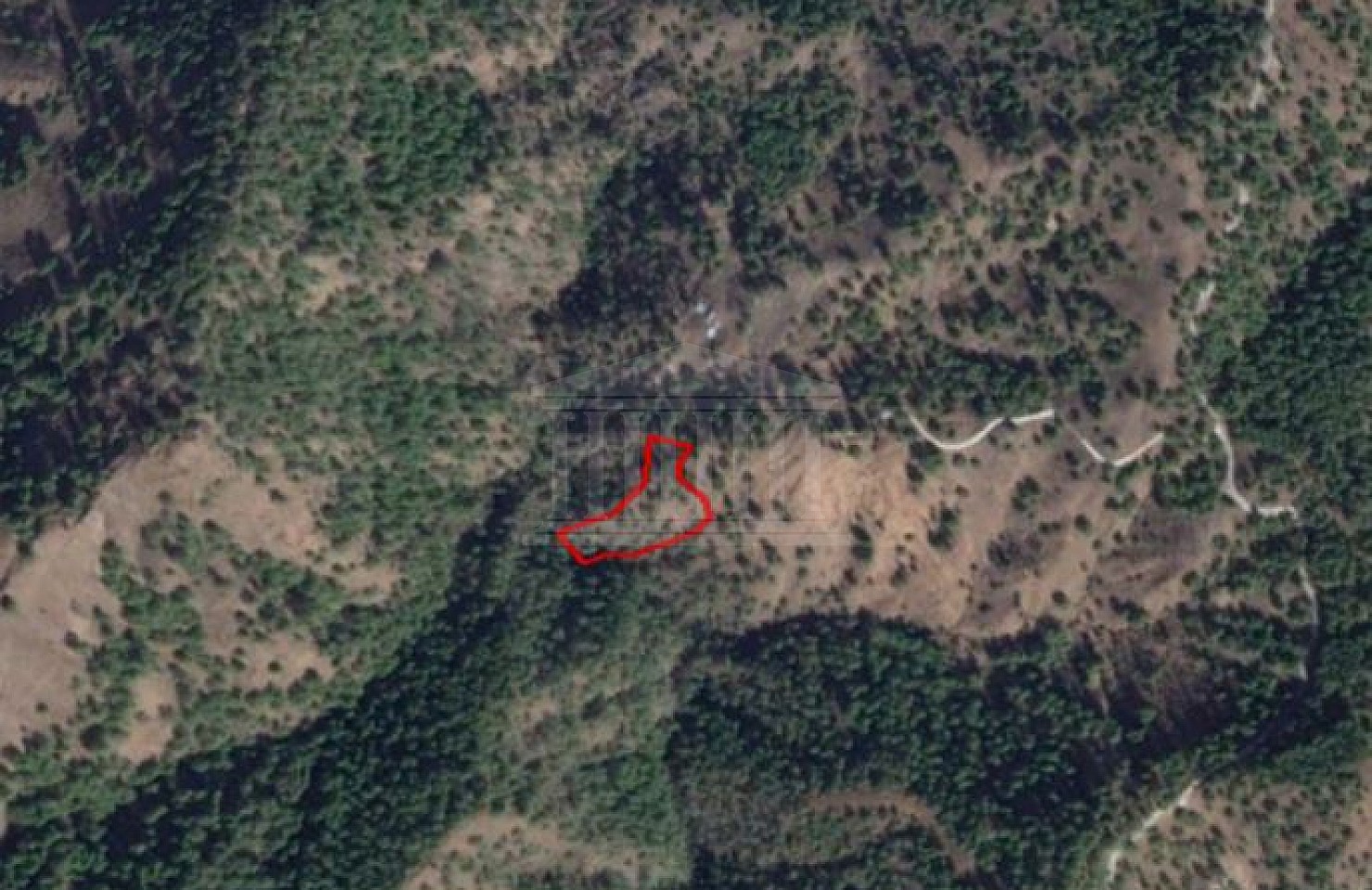 Share of Field in Pigenia, Nicosia