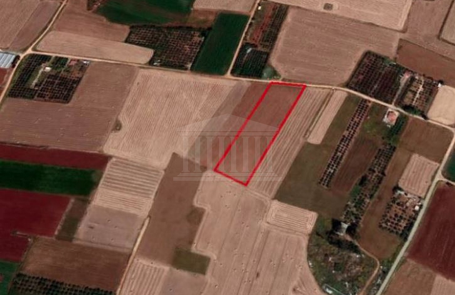 Field in Xylofagou, Larnaca