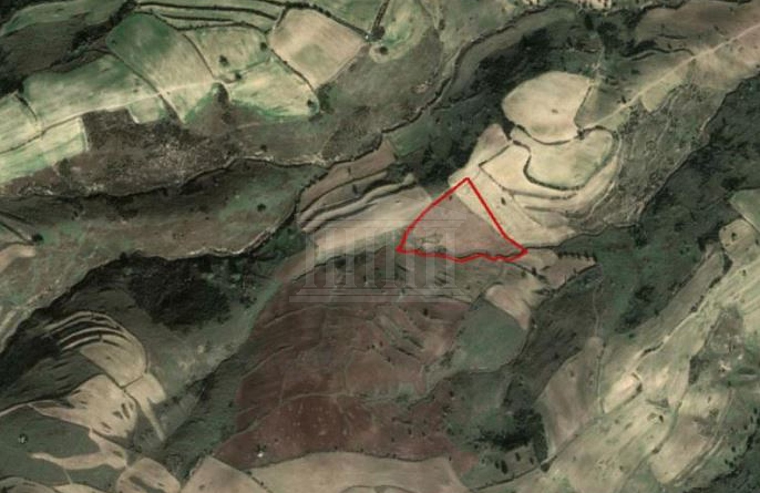 Share of Field in Androlikou, Paphos